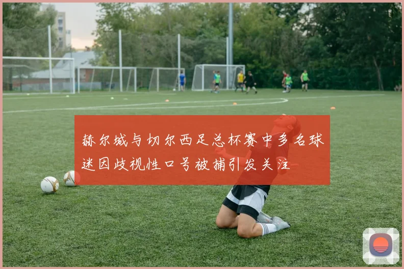 赫尔城与切尔西足总杯赛中多名球迷因歧视性口号被捕引发关注