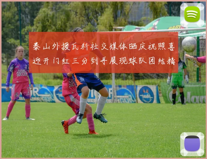 泰山外援瓦科社交媒体晒庆祝照喜迎开门红三分到手展现球队团结精神