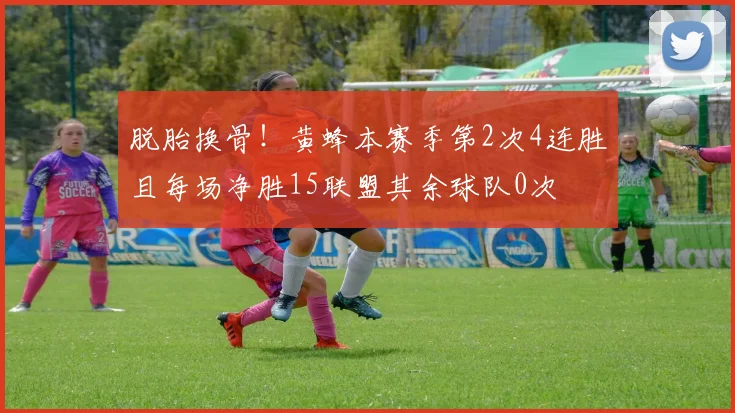 脱胎换骨！黄蜂本赛季第2次4连胜且每场净胜15联盟其余球队0次